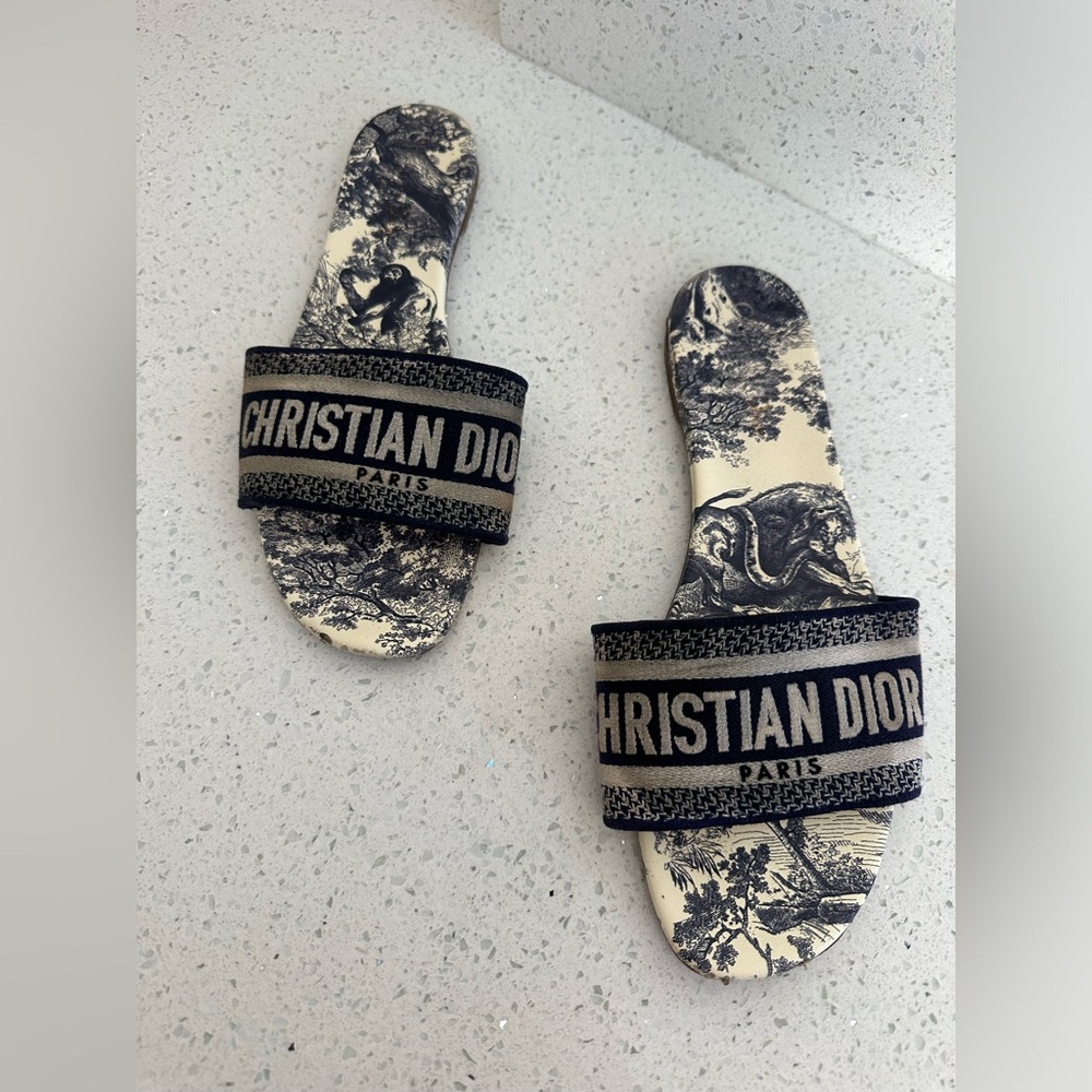 Dior Dway Slide Sandals